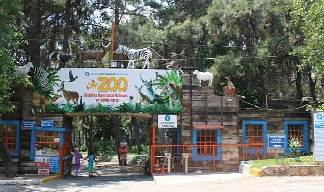 Antalya’da ‘Hayvanat Bahçeleri’ Toplantısı