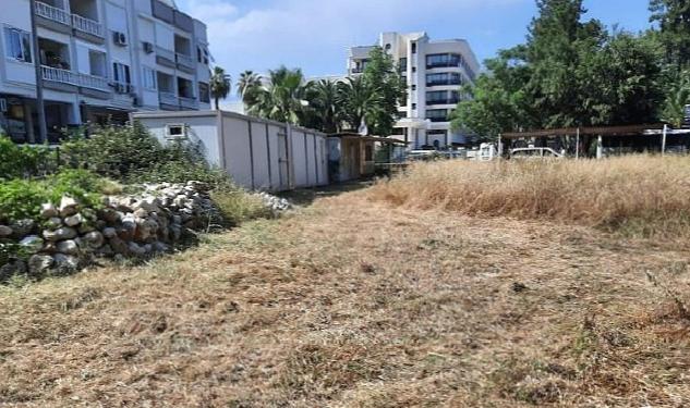 İlçe genelindeki yeşil alanlarda bakım çalışması