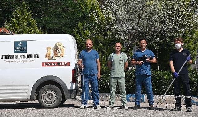 Karabağlar’da kurban yakalama timi iş başında