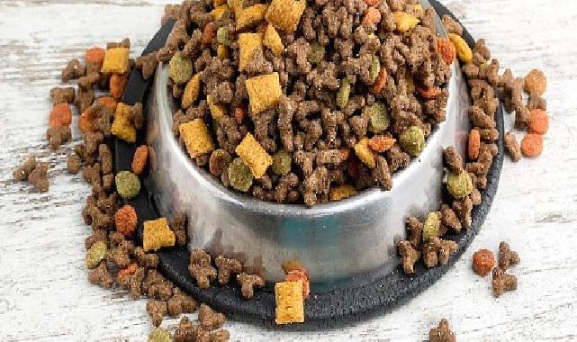 Can dostların mamaları Türkiye’de üretiliyor Türkiye, kedi-köpek maması ihracatında 100 milyon dolar hedef koydu