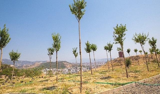 Karşıyaka’da iklim krizine karşı 95 bin ağaç toprakla buluşturuldu