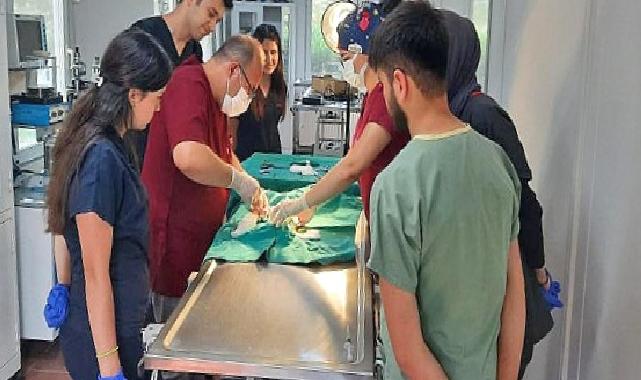 Osmangazi Belediyesi’nden Veteriner Fakültesi öğrencilerine uygulamalı eğitim