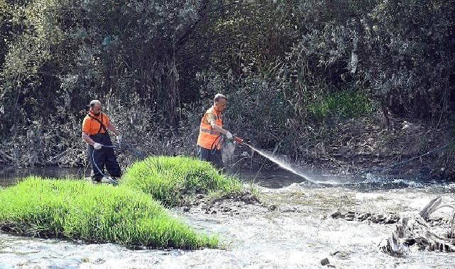 Karabük Belediyesi Sivrisinekle Mücadele Çalışmalarına Devam Ediyor