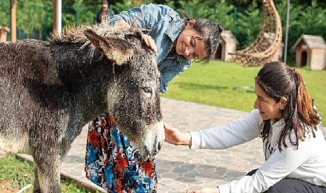 Hepsiburada, 4 Ekim Hayvanları Koruma Günü’nde Can Dostlarımızı Unutmadı