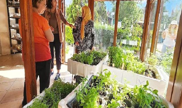 Karşıyaka’dan üretime 300 bin paket atalık tohum desteği