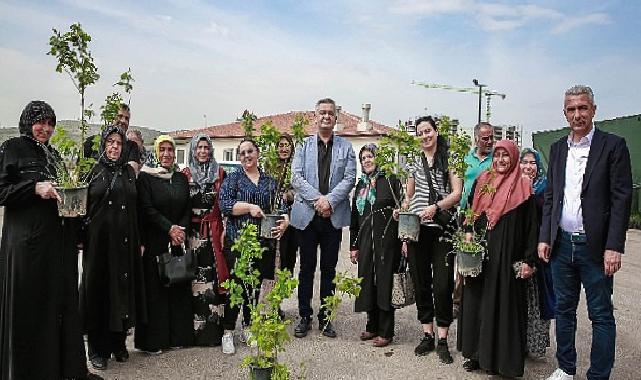 Keçiören Belediyesi tarafından tarımsal üretimi desteklemek için 205 Bin Fide Çiftçilere Dağıtıldı
