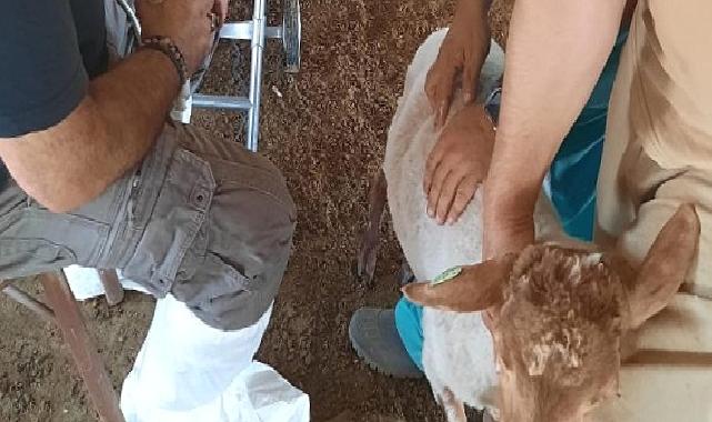 İzmirli üreticiye bir destek daha